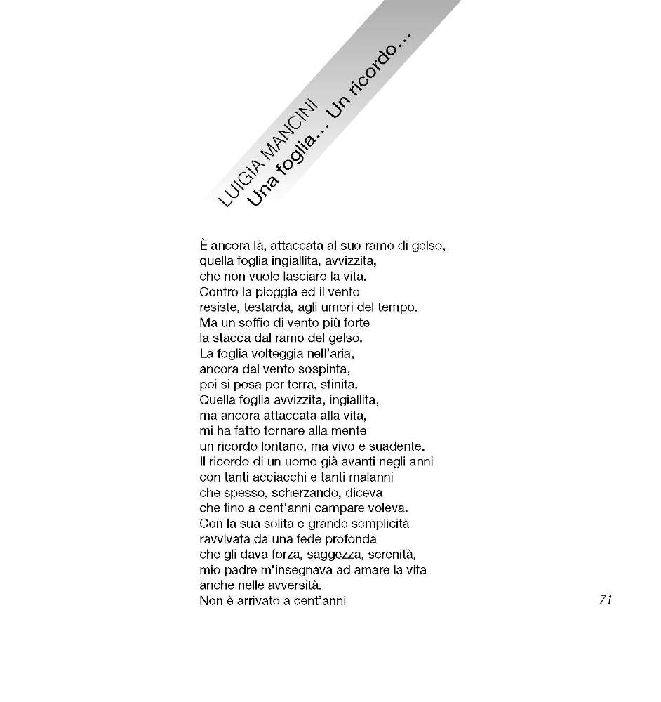 Intorno all'arola V 2010 p.071