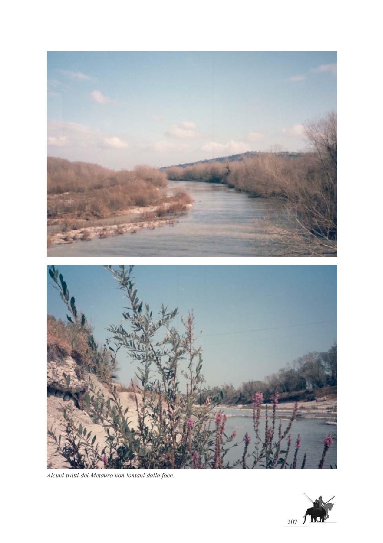 La Battaglia del Metauro p.207
