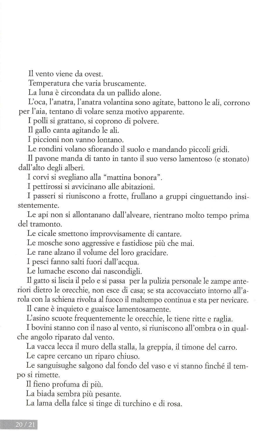 La torr i arduna tutti 2006 p.020